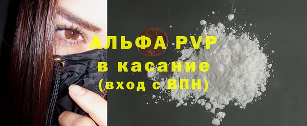 стаф Ростов