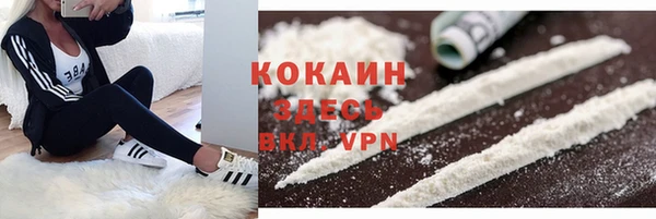 молекула духа Сатка