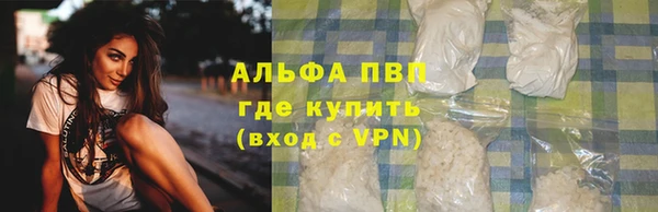 PSILOCYBIN Сафоново